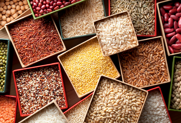 2021粮油市场展望：稻麦市场化将凸显 玉米波动可能加大
