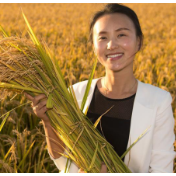 粮食产业强国背景下大型粮食经营主体重要性思考