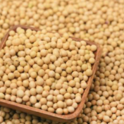 中储粮与巴西等多国供应商签约 进口大豆840万吨