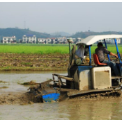 化肥价格居高难下,春耕能否保障?“定心丸”来一颗