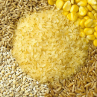 把粮食安全的基础夯得更实（人民时评）