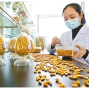 为粮食安全筑牢种业基石
