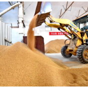 以案为鉴 | 被查处的粮食系统“一窝鼠”