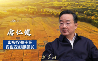 中央农办主任、农业农村部部长唐仁健：以全面推进乡村振兴促进中华民族伟大复兴