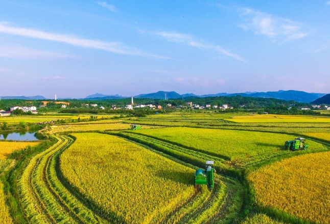 三组数据告诉你，中国“饭碗”的底气来自哪？