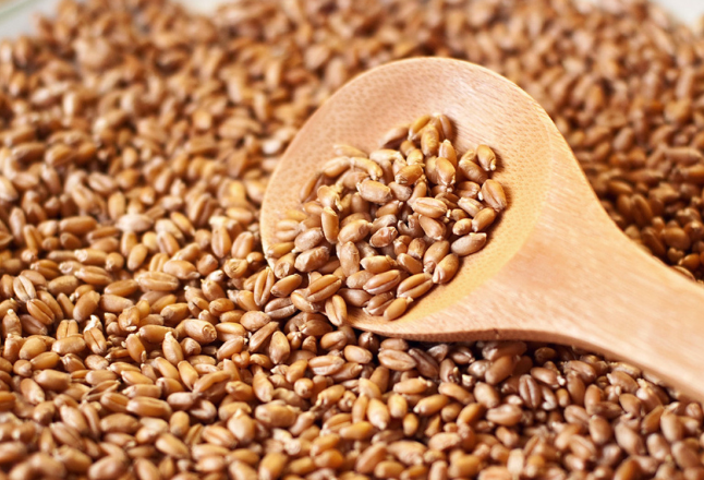 最低收购价小麦竞价交易“降温”