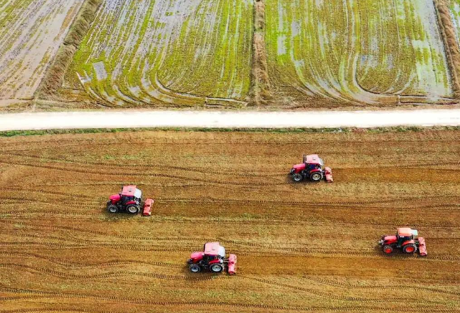 农业农村部：今年中央轮作休耕制度试点面积增至4000万亩