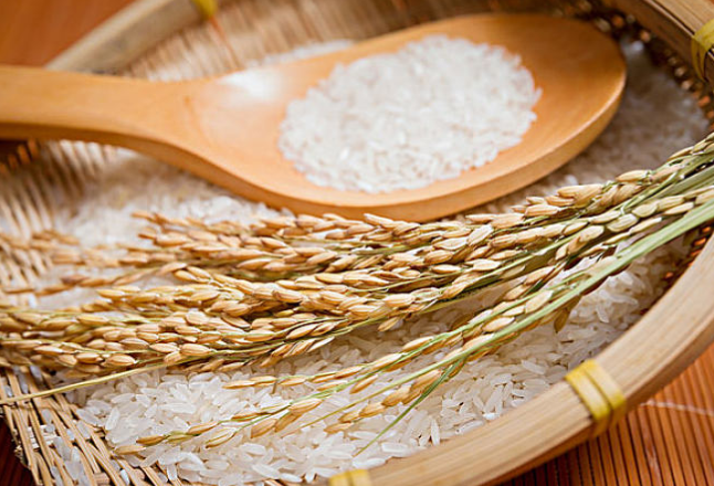 粮食比价大调整 稻米市场压力增