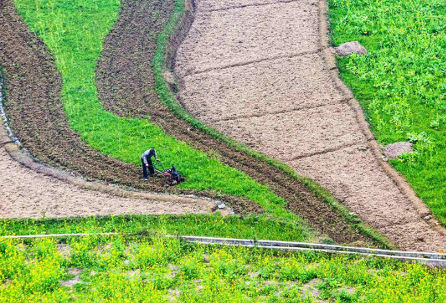 2020中国农业经济发展报告发布——推进农业农村现代化