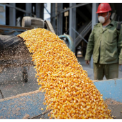 国家粮食和物资储备局办公室印发通知对取消粮食收购资格许可作出安排部署