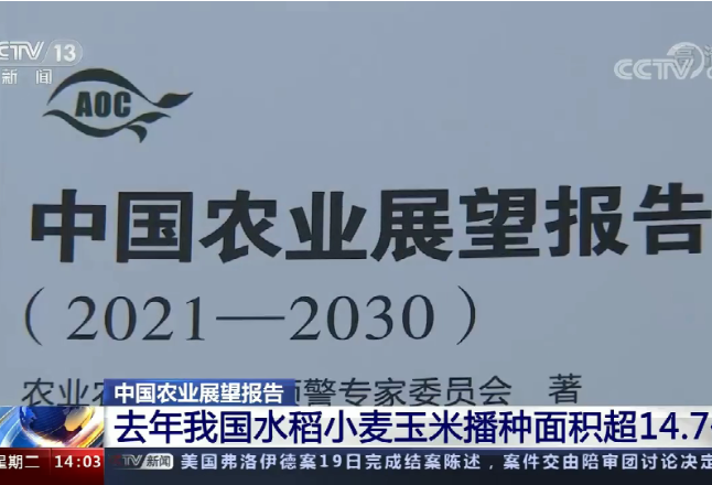 未来10年 我国粮食供应保障更加有力