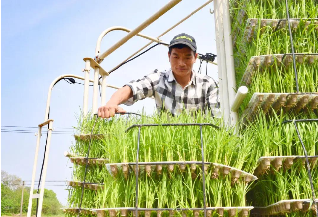 乡村振兴促进法草案三审稿提请审议 完善保障国家粮食安全相关规定