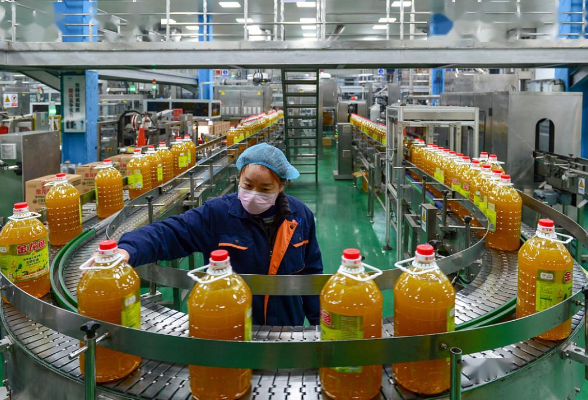 端牢中国饭碗 守住大国粮仓：中国特色粮食安全之路越走越宽
