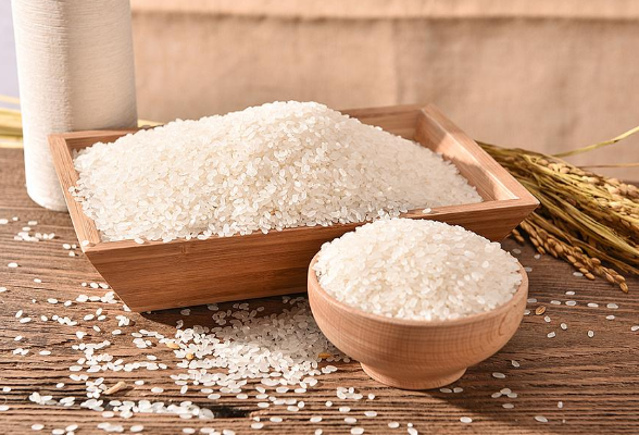 “十四五”时期，中国饭碗如何端得更牢