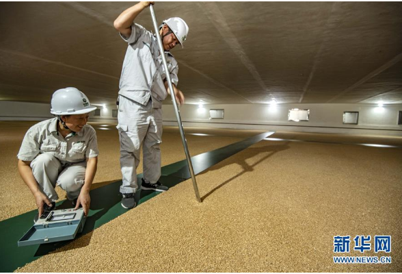 什么是“数字粮储”？ 国家粮食和物资储备局回应来了