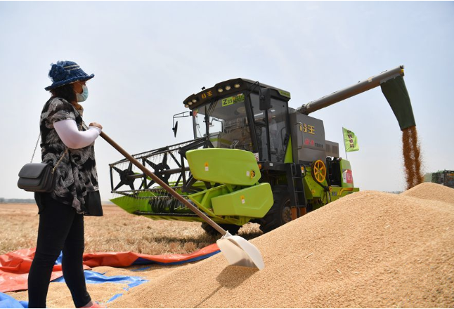 《粮食流通管理条例》大修 粮食收购资格许可制度取消