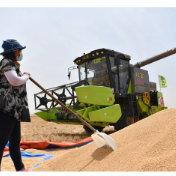 《粮食流通管理条例》大修 粮食收购资格许可制度取消