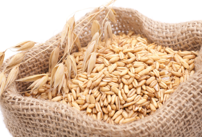 近20年国内小麦饲用消费的发展变化