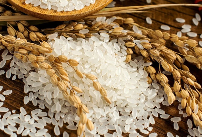 加工企业减少开机 稻米弱势仍将持续
