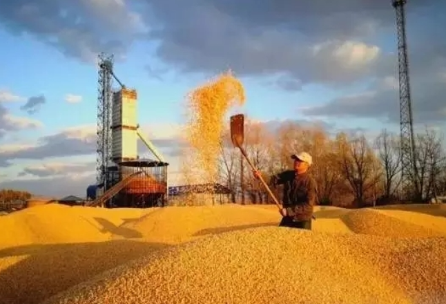 世界粮食计划署警告多国面临饥荒危险