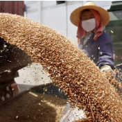 湖南省粮食和物资储备局印发通知部署做好2021年早稻收购监督检查工作