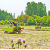 再识中国特色农业现代化路径选择