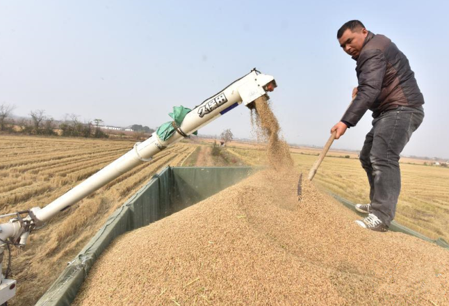 常德市召开粮食收购工作会议