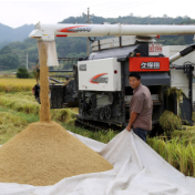 陈阁辉：抓好乡村振兴和粮食收储工作