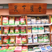 中国饭碗装满优质粮