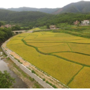 自然资源部：坚持最严格的耕地保护制度