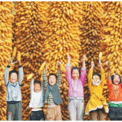 农业农村部：实现粮食安全需要“加法”“减法”一起做