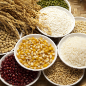 经济日报金观平：提高粮食安全综合保障能力