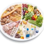 深刻把握大食物观的内涵和要求