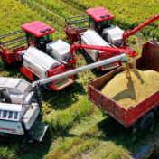 秋粮收购工作开局良好进展顺利