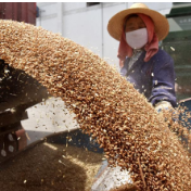 《粮食流通行政执法办法》政策解读