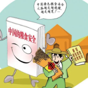 关于粮食安全，这些问题亟需立法解决