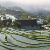 李克强:确保全年粮食产量继续保持在1.3万亿斤以上