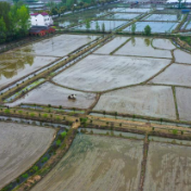 经济日报：耕地问题调查