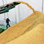 国家粮食和物资储备局副局长卢景波:提升粮食收储调控能力