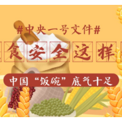 中央一号文件｜粮食安全这样保，中国“饭碗”底气十足