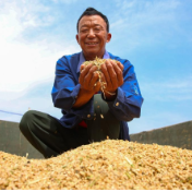 我国秋粮收购平稳有序 主产区各类粮食企业累计收购3047亿斤