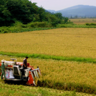 保护耕地 夯实粮食生产根基