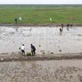 不负农时抓好春耕备耕