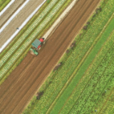 用好黑土地 种粮更积极