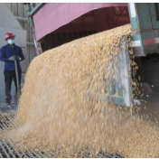 国家粮食和物资储备局：中国政策性粮油库存质量安全处于较好水平