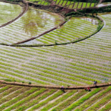 要有大食物观、大市场观、大资源观——补齐粮食安全的三个短板