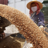 国际粮价上涨引发担忧 国家统计局：我国粮食供应充足