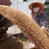 国家粮食和物资储备局部署做好2022年粮油收购监督检查工作