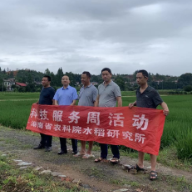 省农科院专家为浏阳早稻生产支招