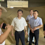 省粮食和物资储备局局长陈冬贵局长赴益阳、岳阳督导早稻收购暨粮食安全党政同责落实情况